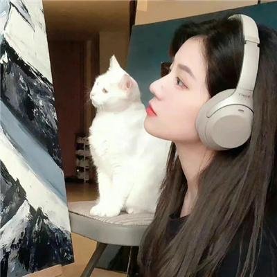 鲨人树儿