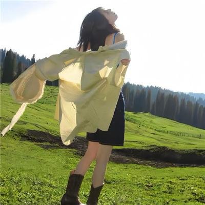 夺宝寻龙:北冥鲲宫